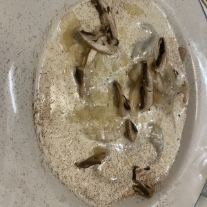 Pastas - Tortelloni Fungui Porcini