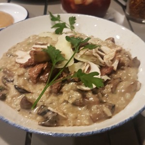 rissotto