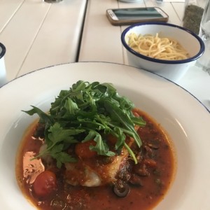 corvina