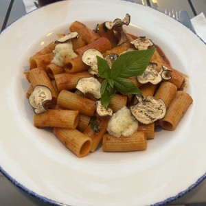 Pastas - Rigatoni Alla Norma