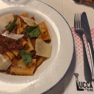 Pastas - Paccheri Alla Bolognesa
