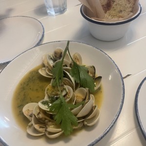 Vongole