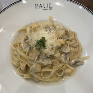 Fettuccini