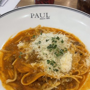 Bolognesa