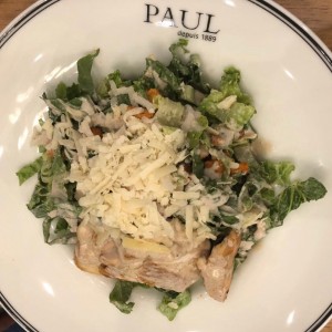 Ensalada Caesar con Pollo.