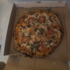 Pizzas - Ocean Life