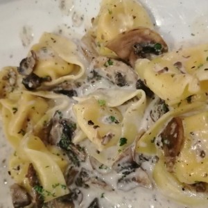 Tortellini funghi porcini (son de ricotta) en salsa de funghi