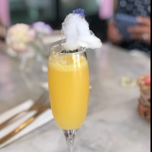 mimosa