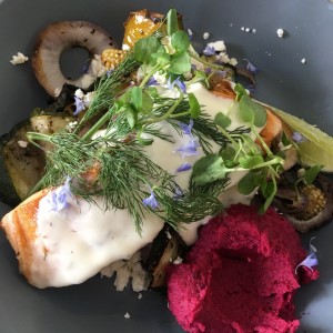 salmon