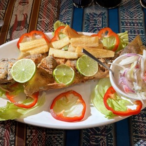 Corvina