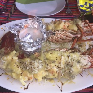 langosta