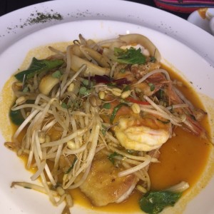 corvina Fuji Mori