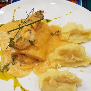 corvina coronado