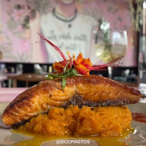 Salmon