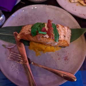 Salmon Frida