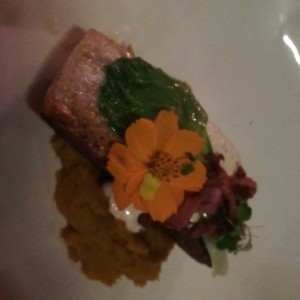 Salmon Frida