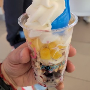 Parfait - 10 Oz 2 Cereales +2 Frutas
