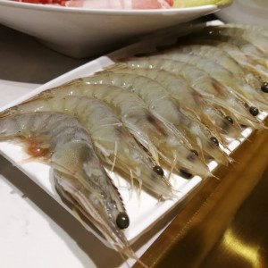 Camarones