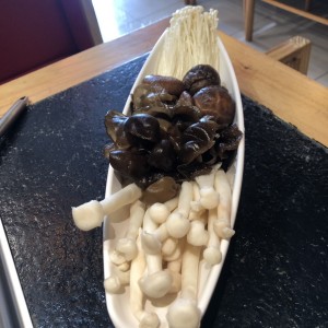 Variedad de Hongos