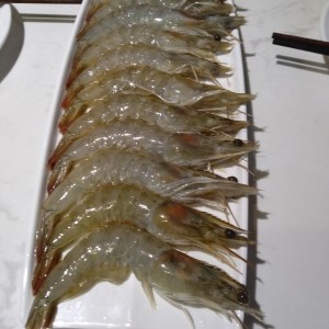 Camarones