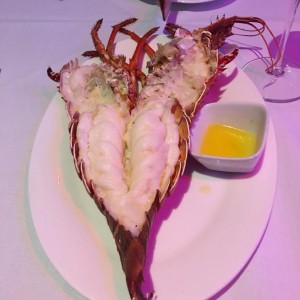 LANGOSTA