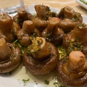 hongos