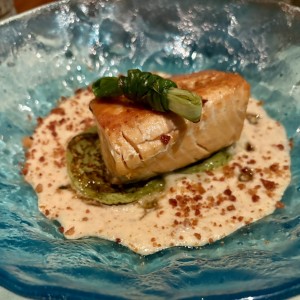 Salmon
