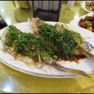 Tilapia al Vapor con jengibre y cebollina