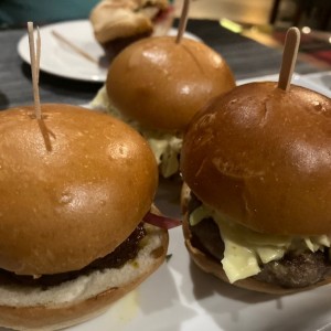 Sliders - Wallace Sliders