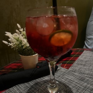 Gim tonic frutos rojos