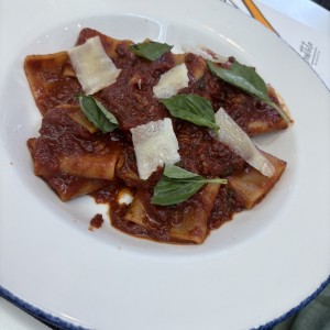 AMERICAN AMATRICIANA