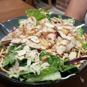 Oriental Chicken