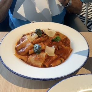 Pastas - Paccheri Alla Bolognesa