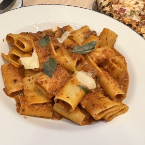 Pastas - Paccheri Alla Bolognesa