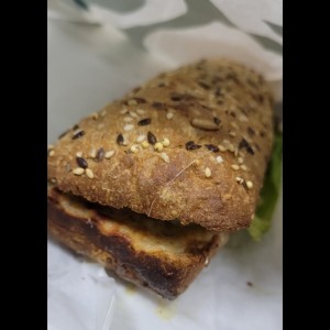 turkey mozarella integral
