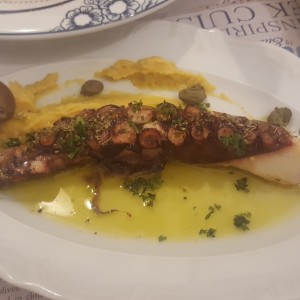 pulpo