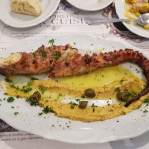 Pulpo sobre faba.