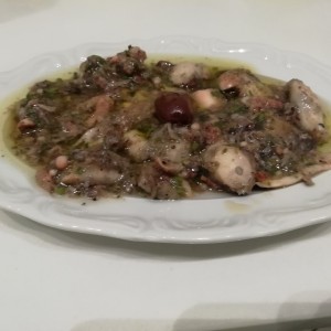 pulpo