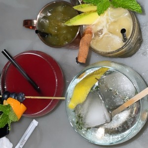 Ron, Gin Tonic,Sangria y Margarita
