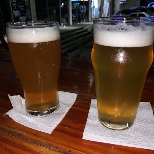 IPA CHIVO PERRO