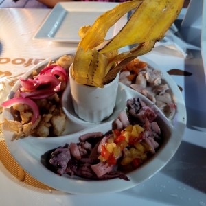 degustaron de caniches