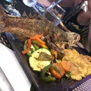 corvina