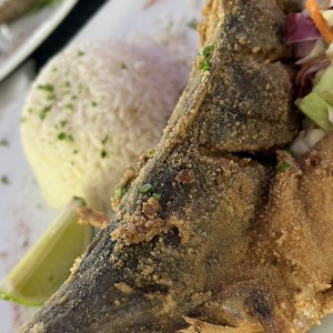 Corvina Frita