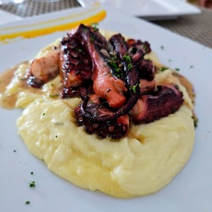 Pulpo en Salsa al Fuego