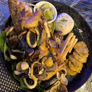 Red snapper