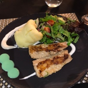 corvina