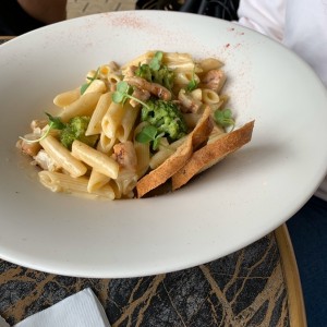 pasta pollo