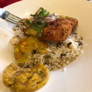 Corvina Curry 