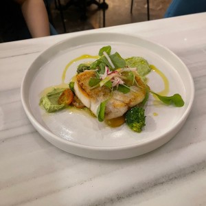 Corvina