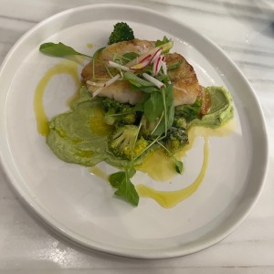 Corvina a la plancha